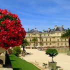 Jardin et Palais du Luxembourg