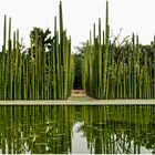 Jardin Etnobotanico