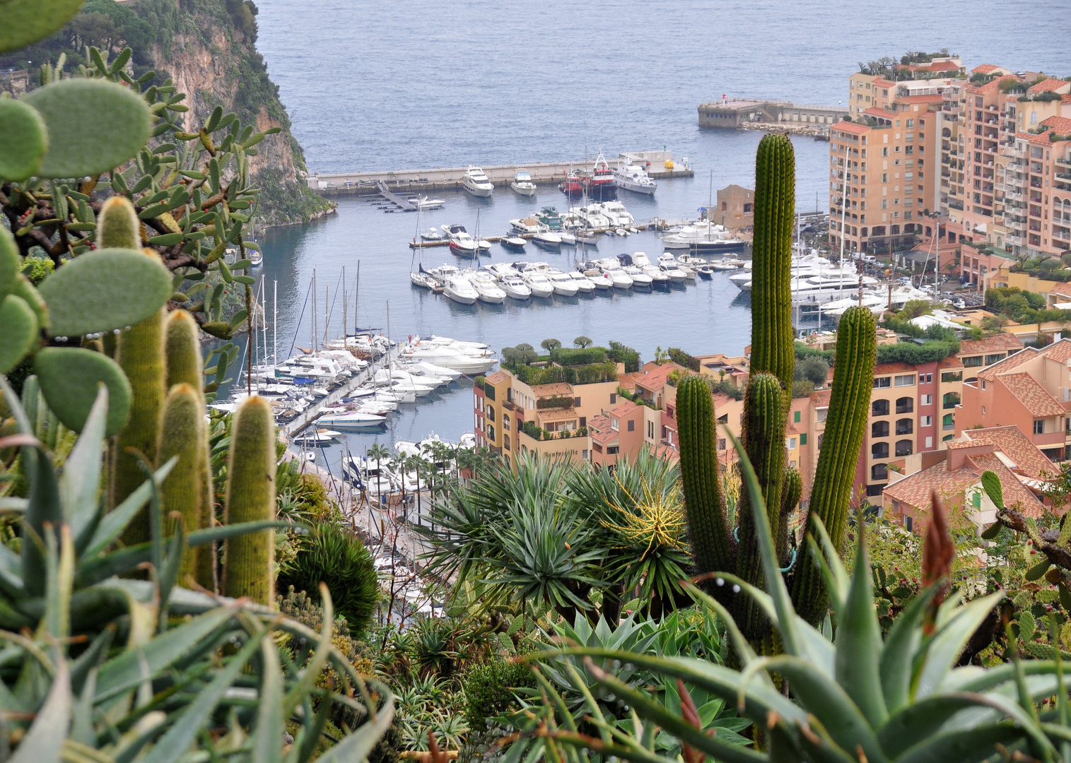 Jardin Exotique de Monaco