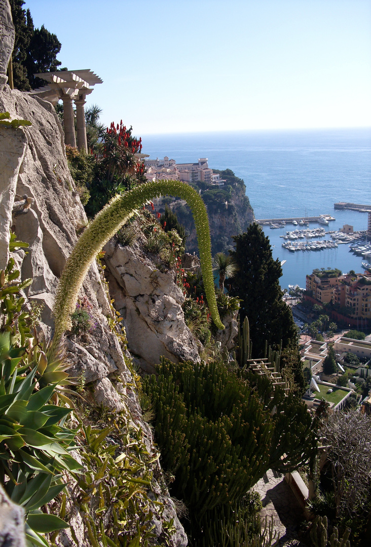 Jardin Exotique in Monaco