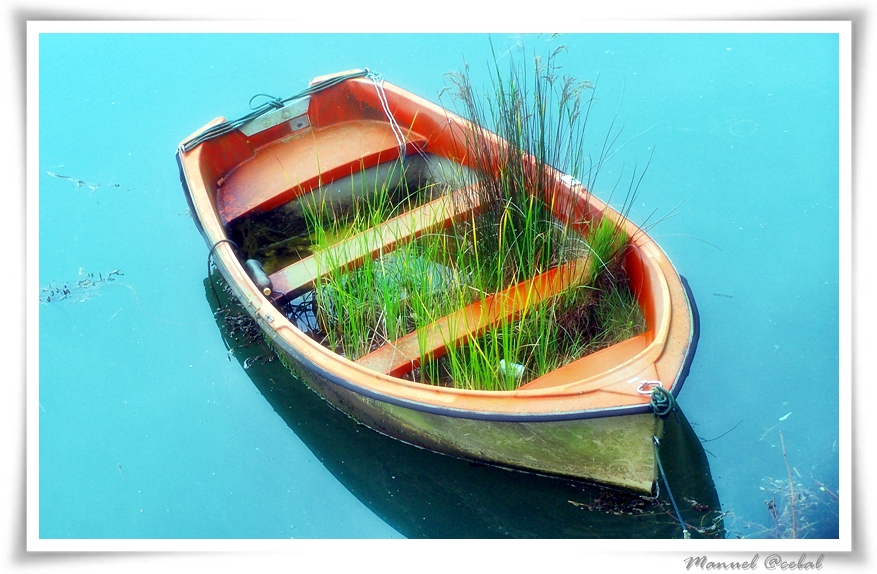 JARDIN FLOTANTE