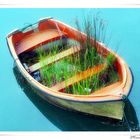 JARDIN FLOTANTE