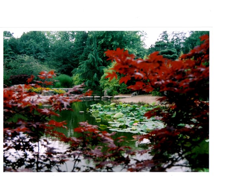 Jardin Ile de Versailles (Nantes)