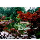 Jardin Ile de Versailles (Nantes)