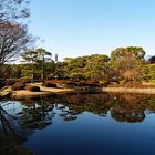 Jardín Imperial Tokyo