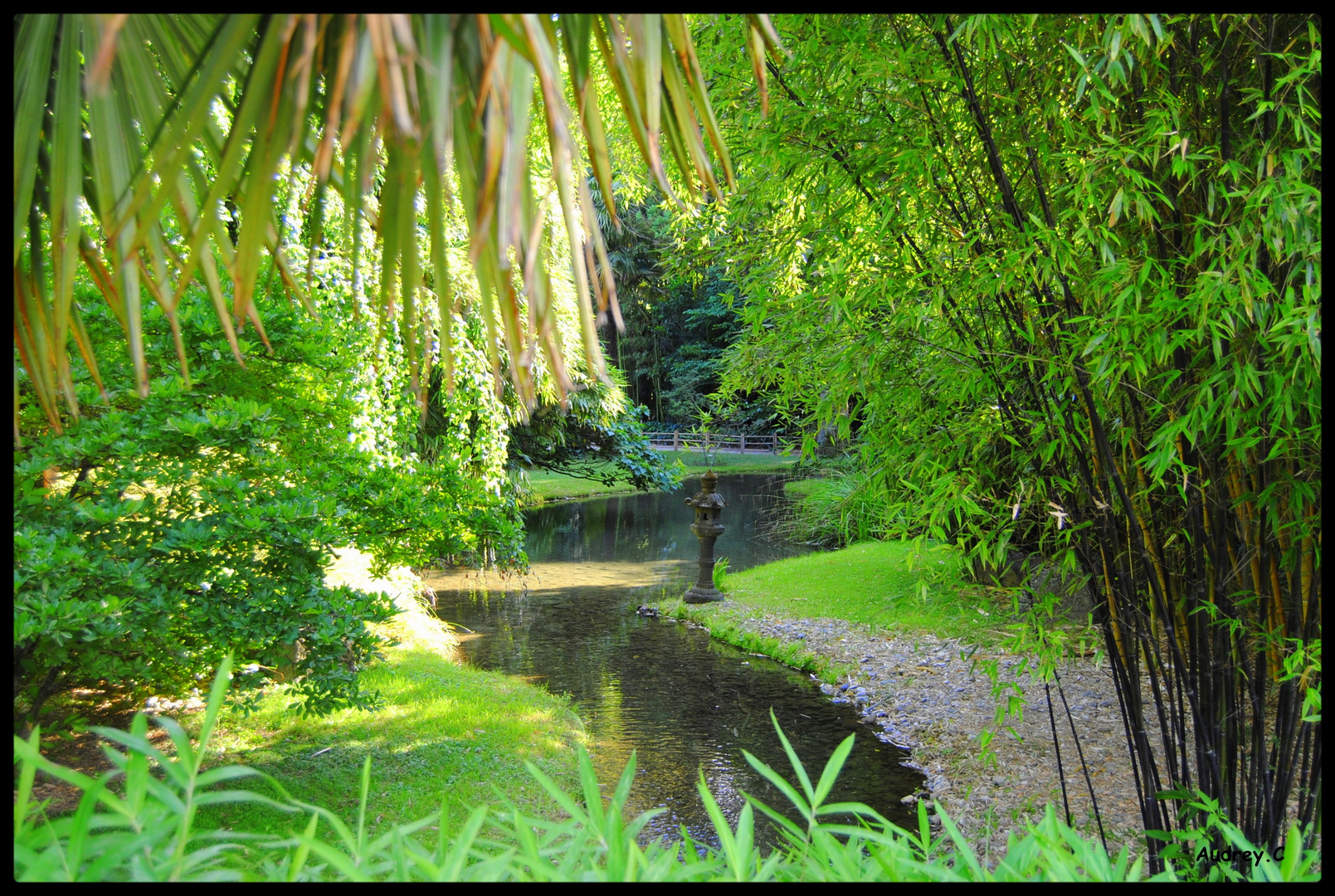 Jardin japonai