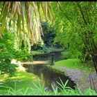 Jardin japonai