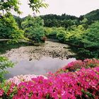 Jardin Japonais