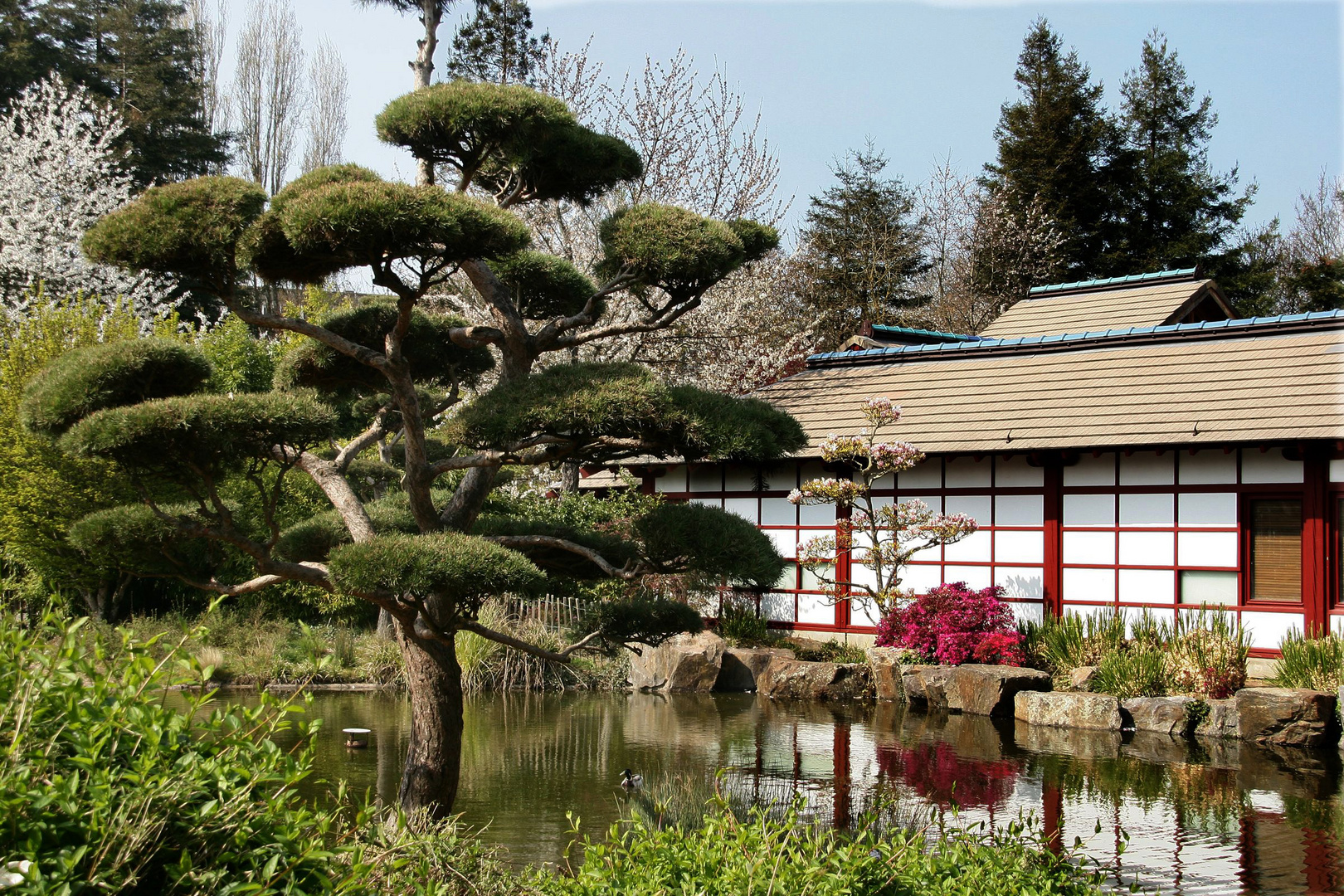 Jardin Japonais (2)