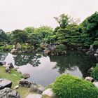 Jardin Japonais