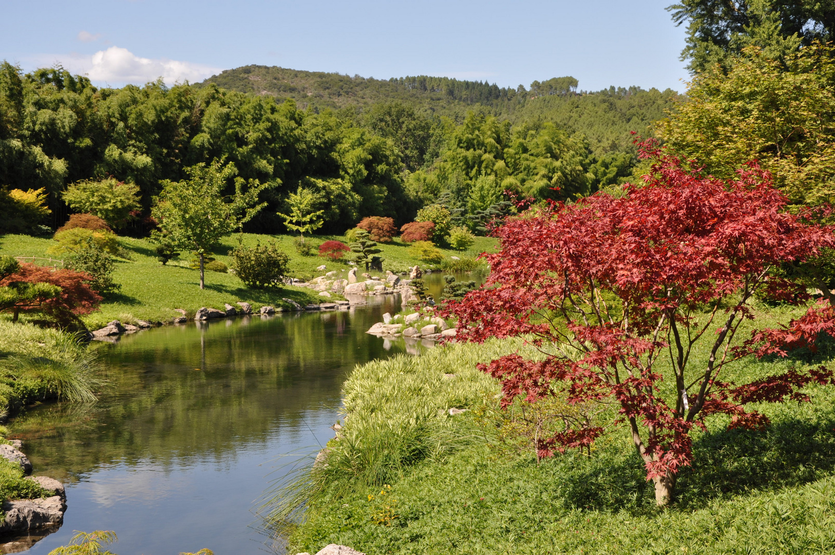 Jardin japonais