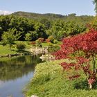 Jardin japonais