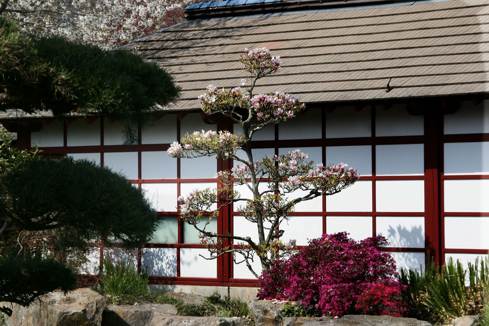 Jardin Japonais