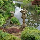 jardin japonais