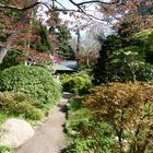 jardin Japonais Albert Kahn