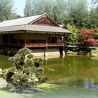 Jardin japonais