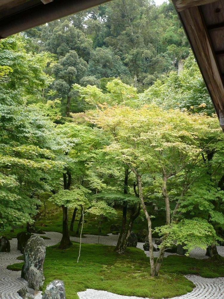 Jardin Japonais