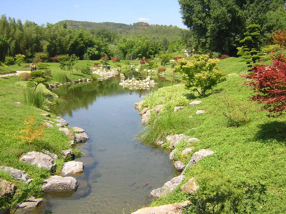 Jardin Japonais