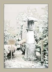 Jardin japonais