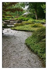 Jardin japonais