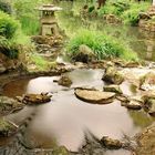 jardin japonais parc de Maulévrier