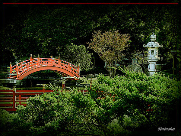 Jardin Japones