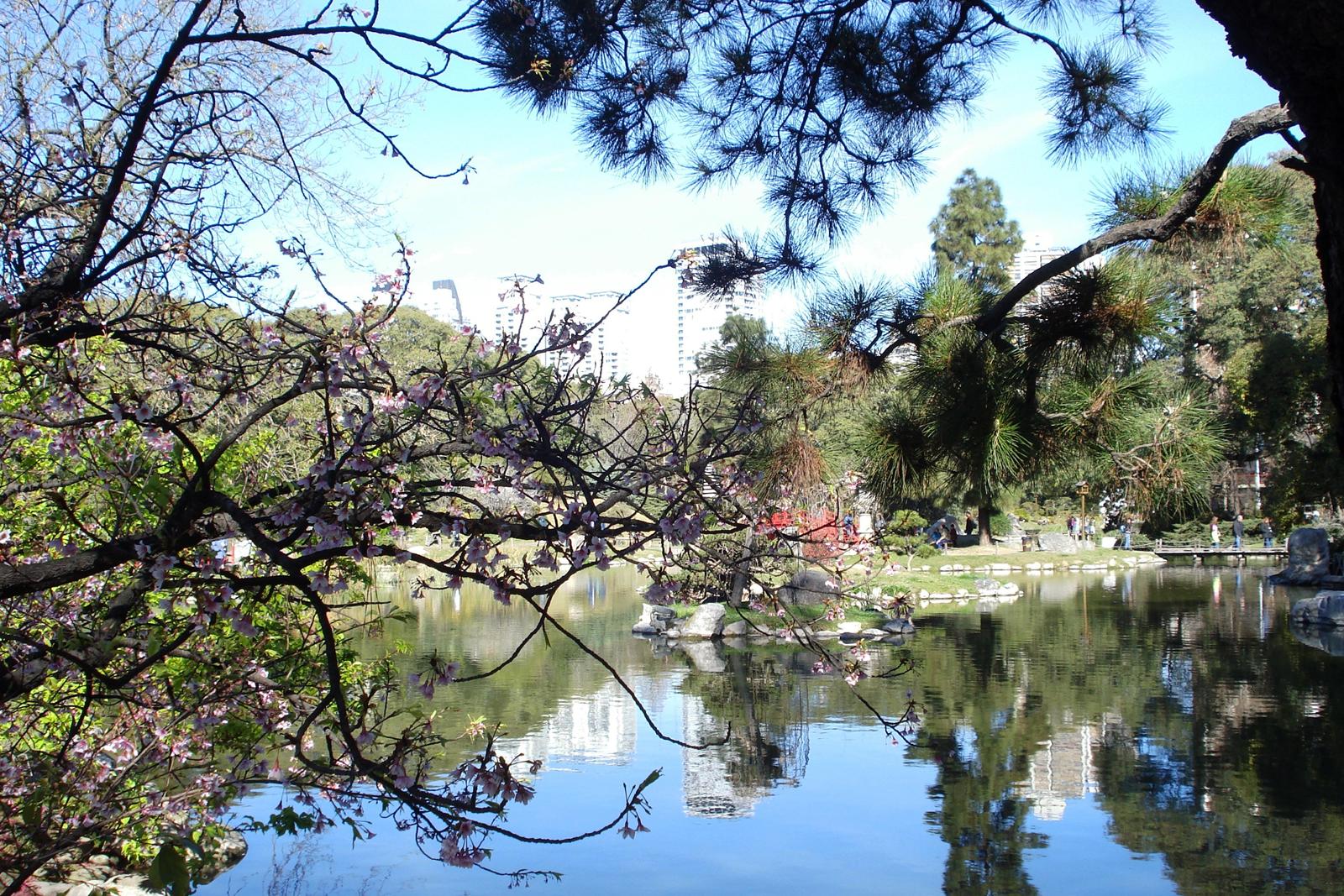 Jardín Japones