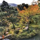 Jardin japonés