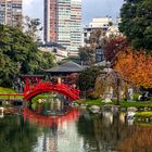 Jardin Japones