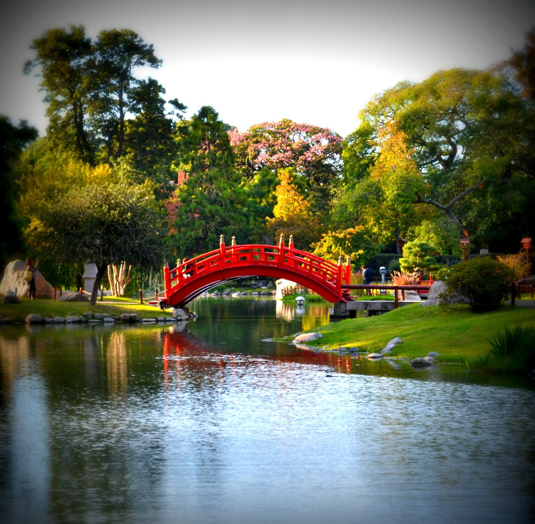 jardin japones