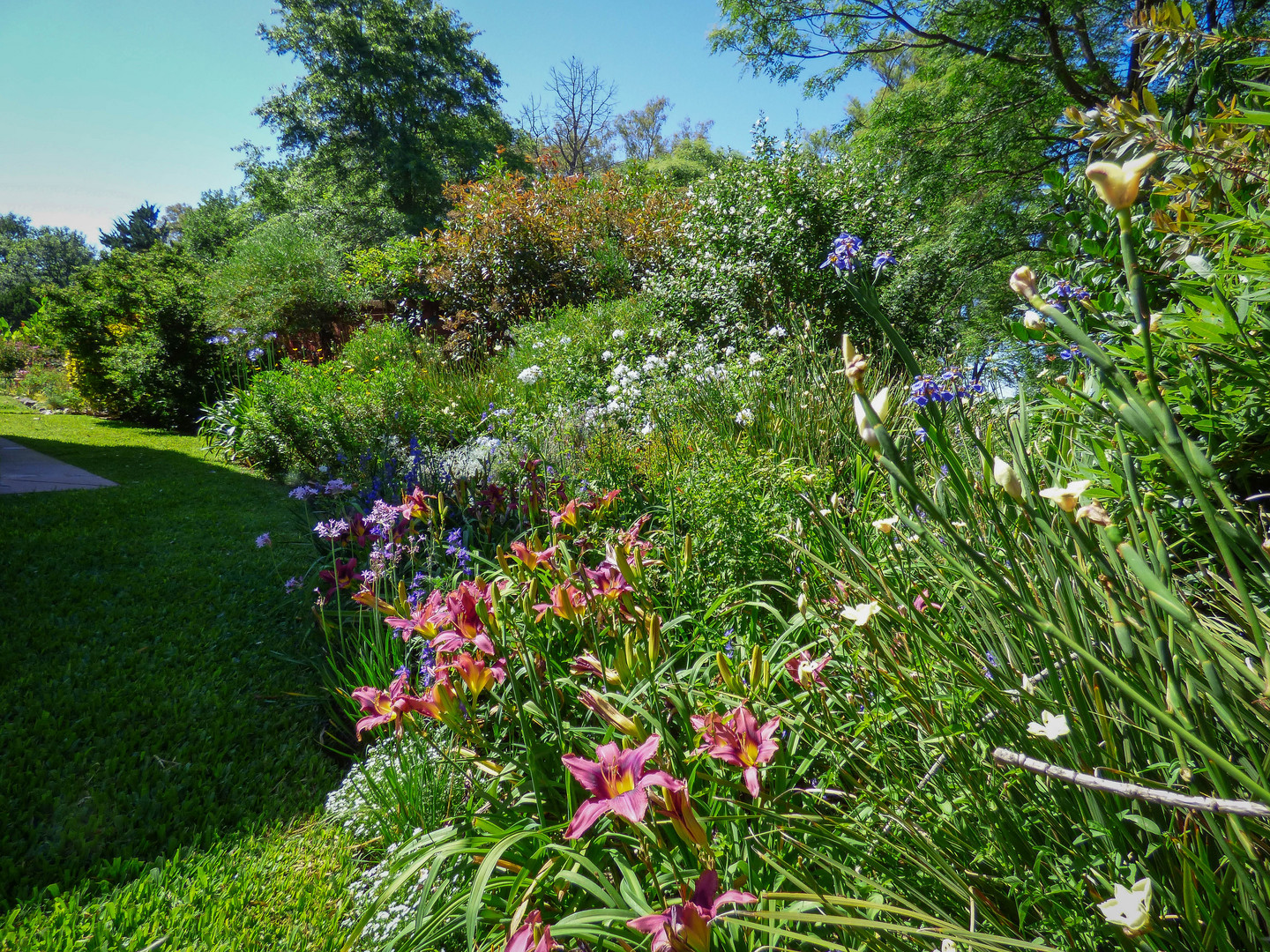 Jardín, la obra de mi esposa