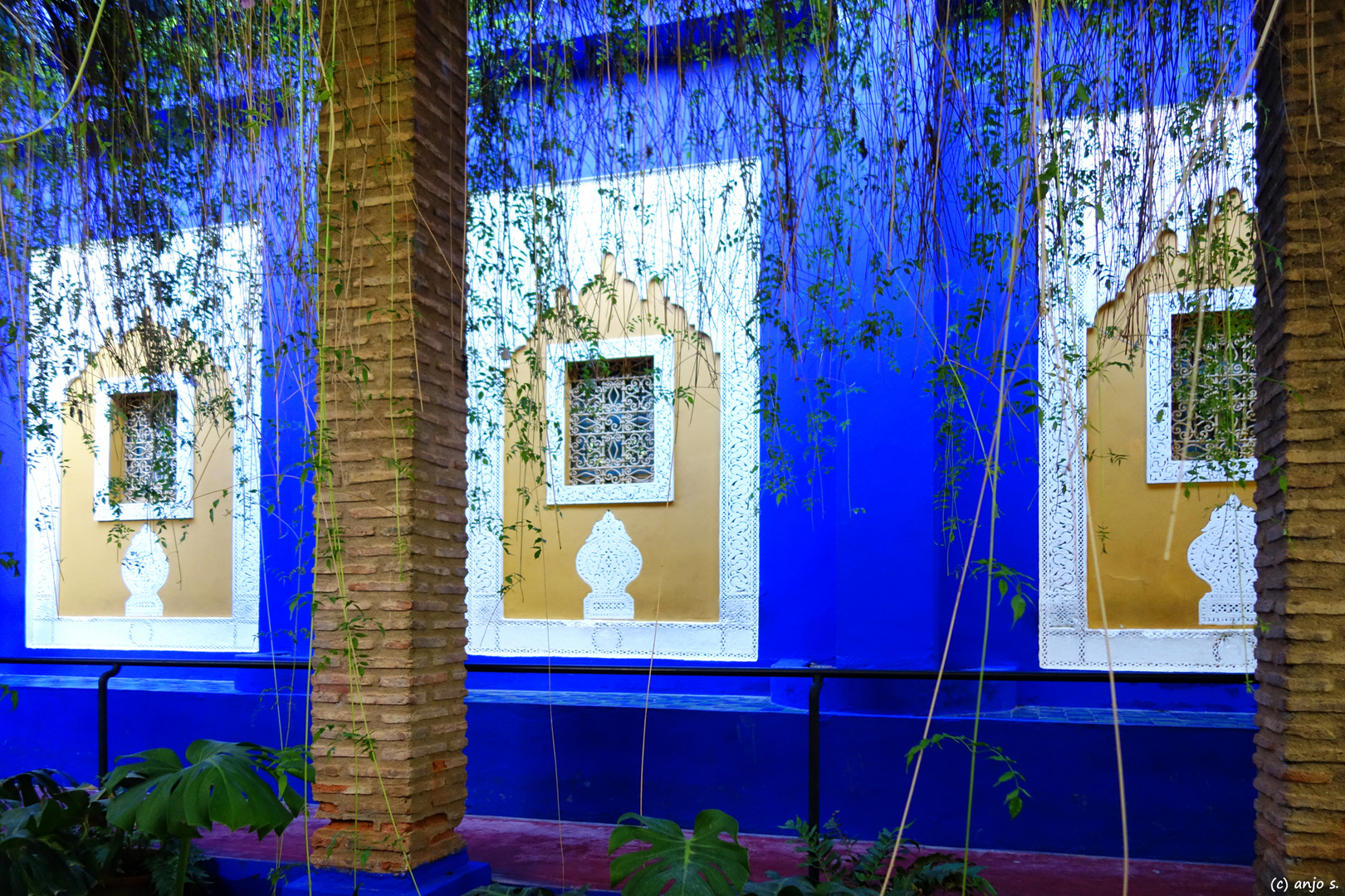 jardin majorelle 02