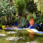 Jardin Majorelle 1