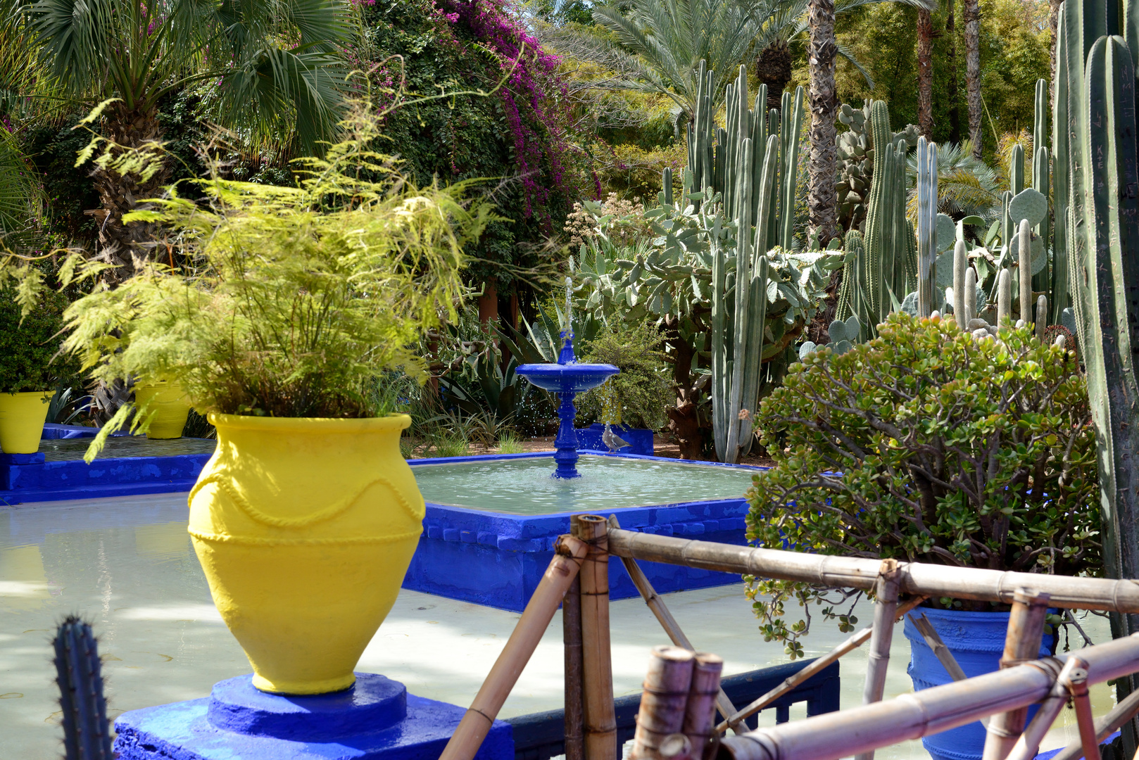 Jardin Majorelle 10