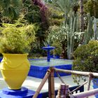 Jardin Majorelle 10