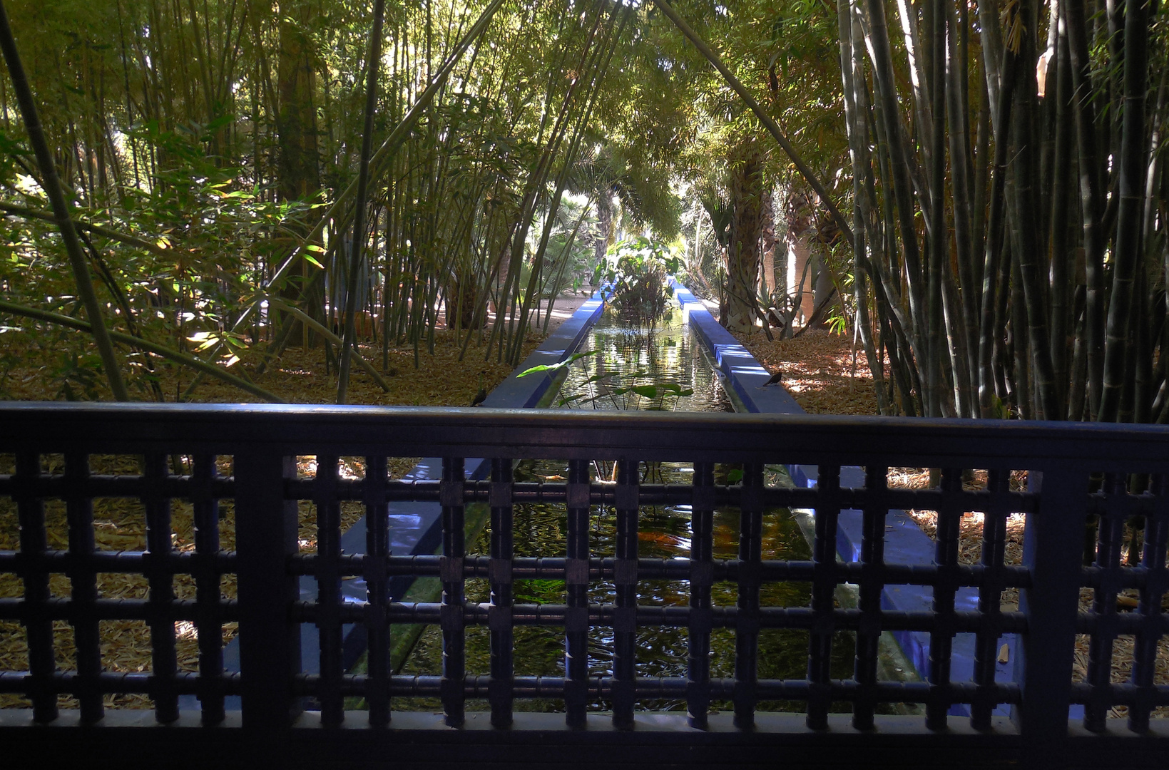 JARDIN MAJORELLE