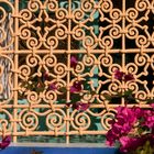 jardin Majorelle #2