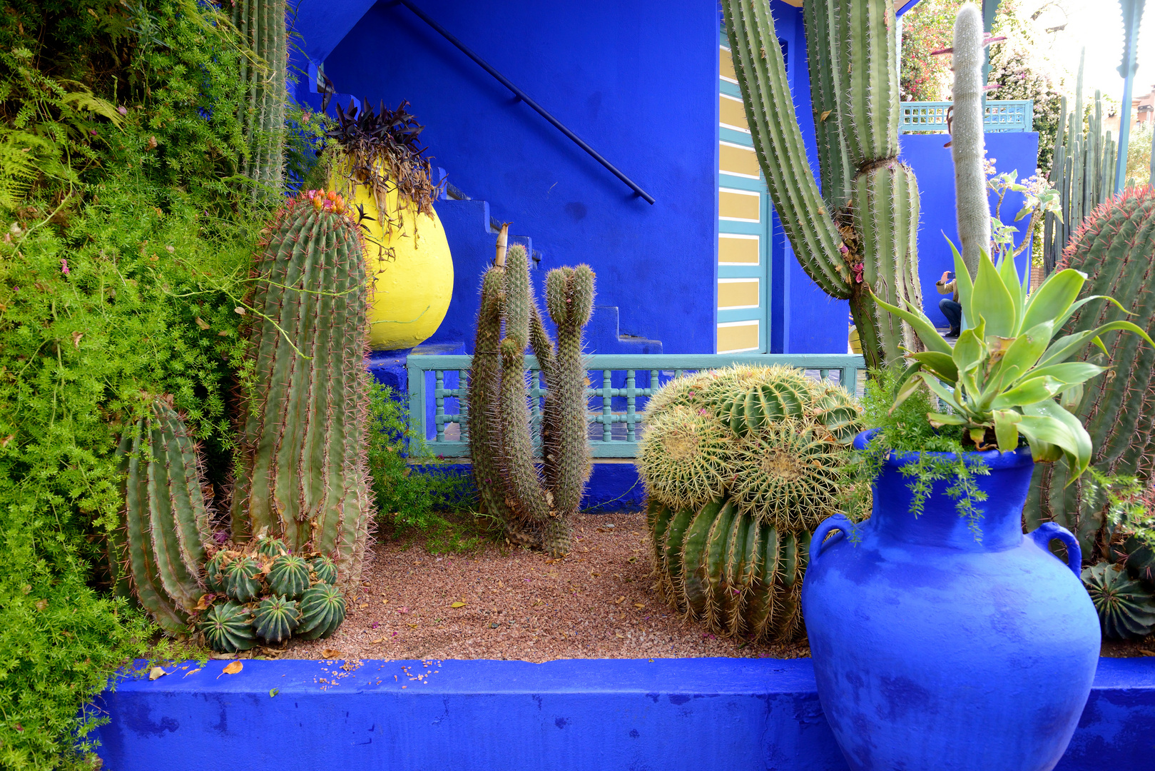 Jardin Majorelle 2