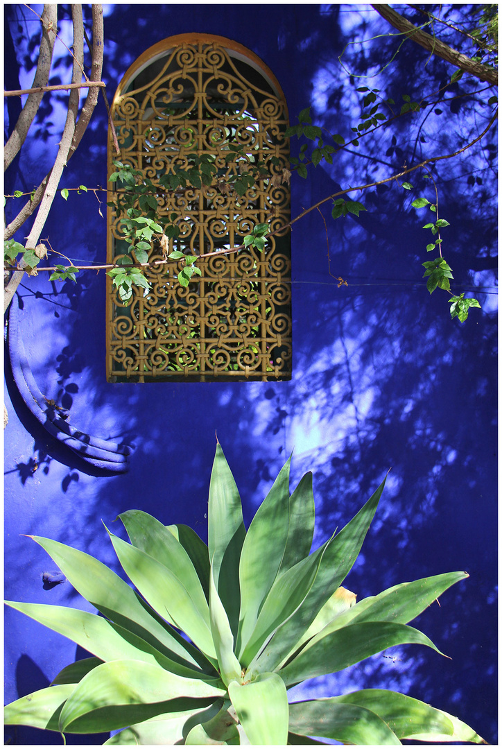 Jardin Majorelle 2