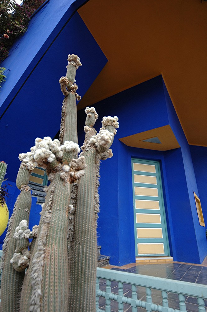 Jardin Majorelle