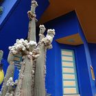 Jardin Majorelle