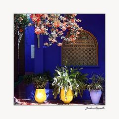 Jardin Majorelle #3