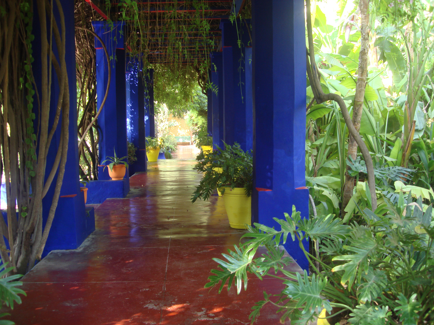 Jardin Majorelle