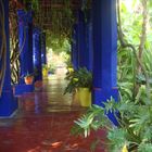 Jardin Majorelle