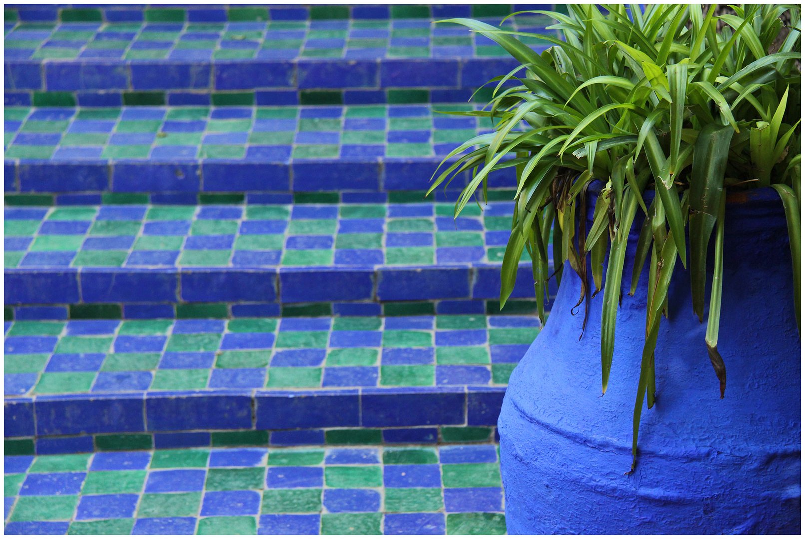 Jardin Majorelle 4