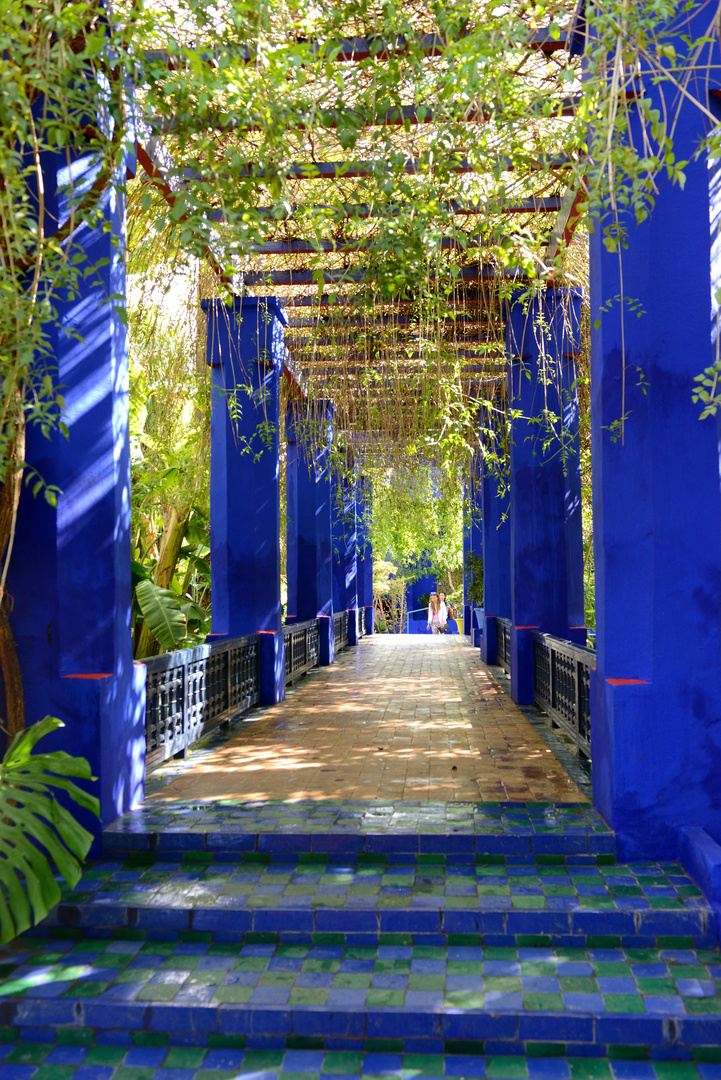 Jardin Majorelle 5 