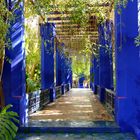 Jardin Majorelle 5 