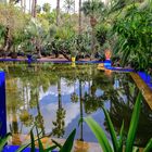 Jardin Majorelle