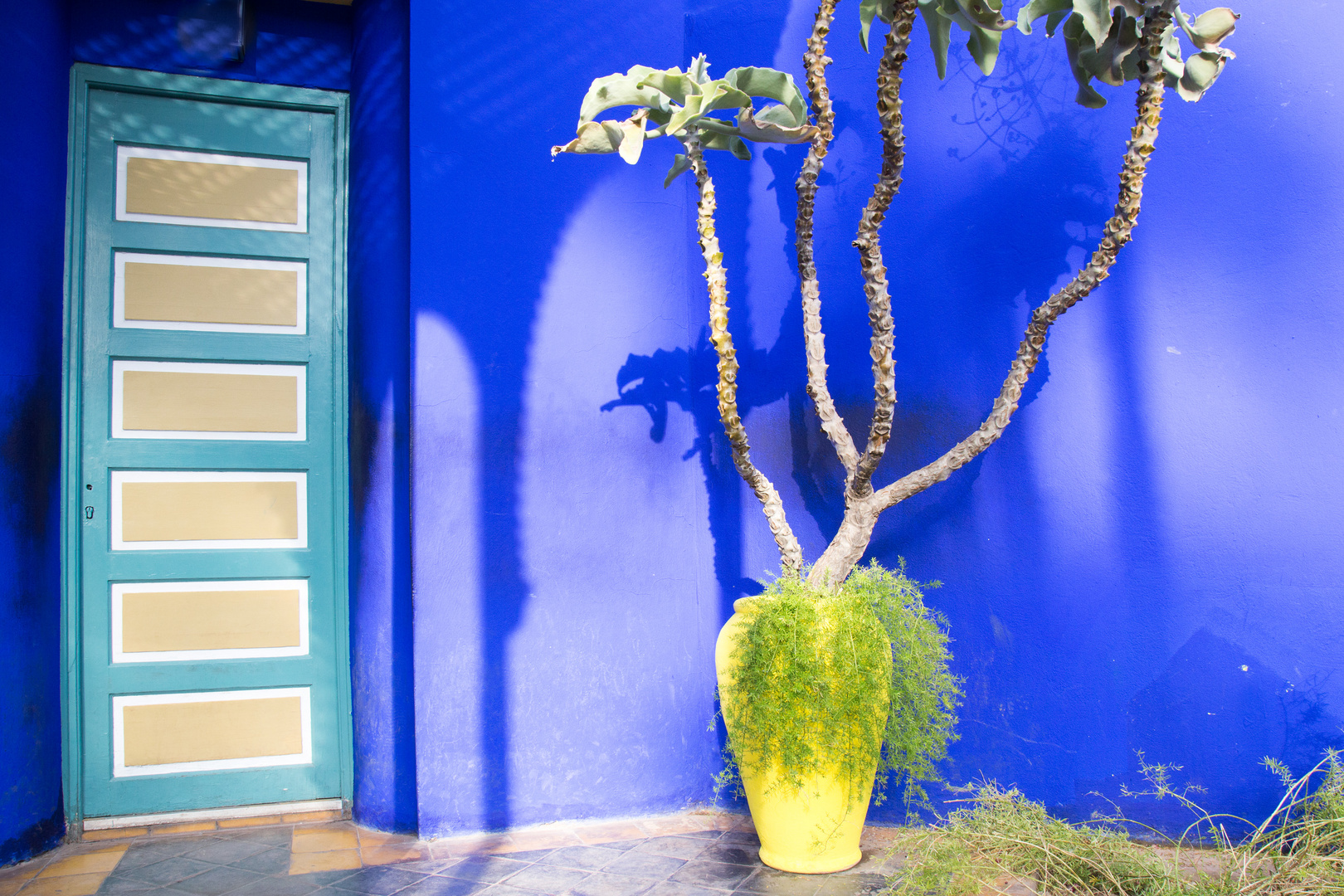 Jardin Majorelle 6