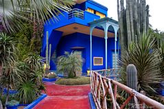 Jardin Majorelle